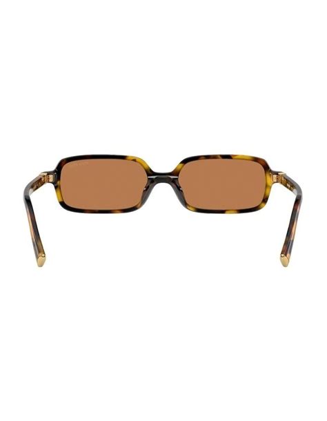 miu miu tortoise glasses|Miu Miu MU 11ZS S (51 .